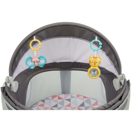 피셔프라이스 Fisher-Price On-The-Go Baby Dome, Gray and White