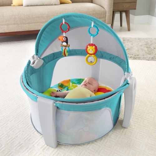 피셔프라이스 Fisher-Price On-The-Go Baby Dome, Gray and White