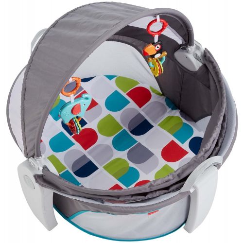 피셔프라이스 Fisher-Price On-The-Go Baby Dome, Gray and White