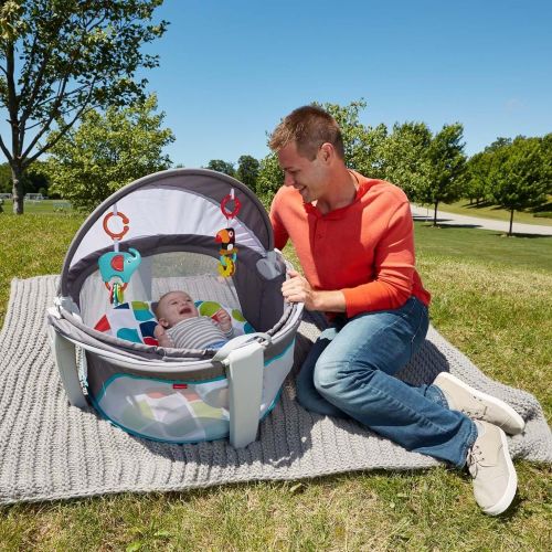 피셔프라이스 Fisher-Price On-The-Go Baby Dome, Gray and White