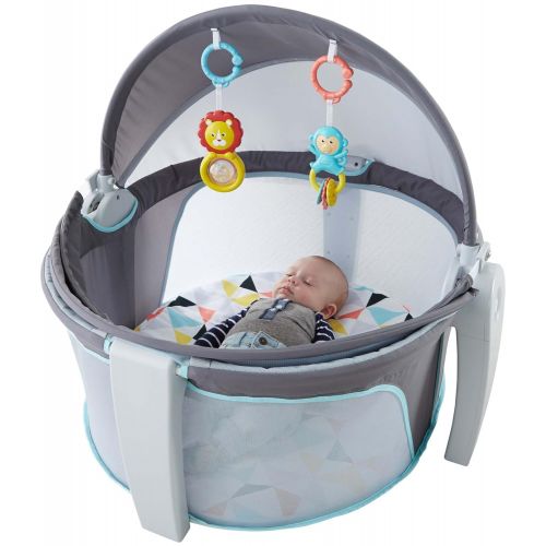 피셔프라이스 Fisher-Price On-The-Go Baby Dome, Gray and White