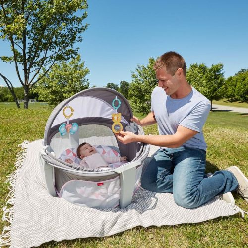 피셔프라이스 Fisher-Price On-The-Go Baby Dome, Gray and White