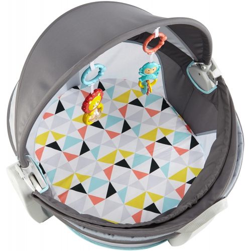 피셔프라이스 Fisher-Price On-The-Go Baby Dome, Gray and White