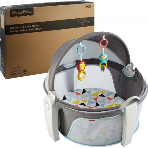 피셔프라이스 Fisher-Price On-The-Go Baby Dome, Gray and White