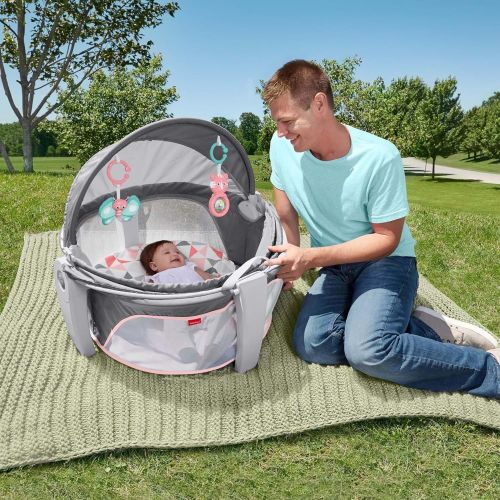 피셔프라이스 Fisher-Price On-The-Go Baby Dome, Gray and White