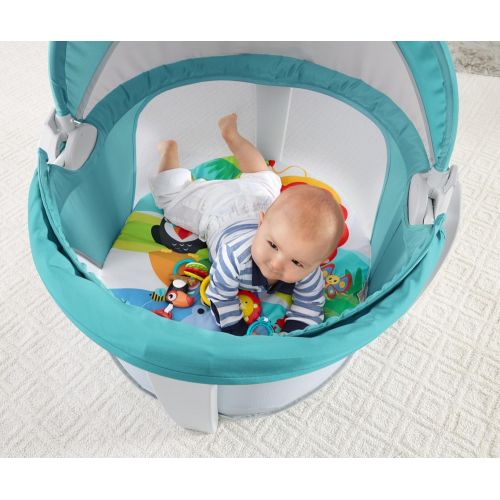 피셔프라이스 Fisher-Price On-The-Go Baby Dome, Gray and White