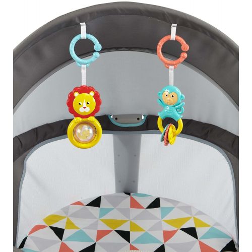 피셔프라이스 Fisher-Price On-The-Go Baby Dome, Gray and White