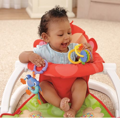 피셔프라이스 Fisher-Price Deluxe Sit-Me-Up Floor Seat