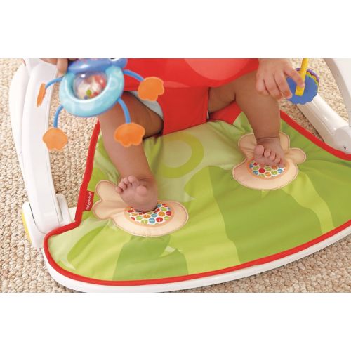 피셔프라이스 Fisher-Price Deluxe Sit-Me-Up Floor Seat