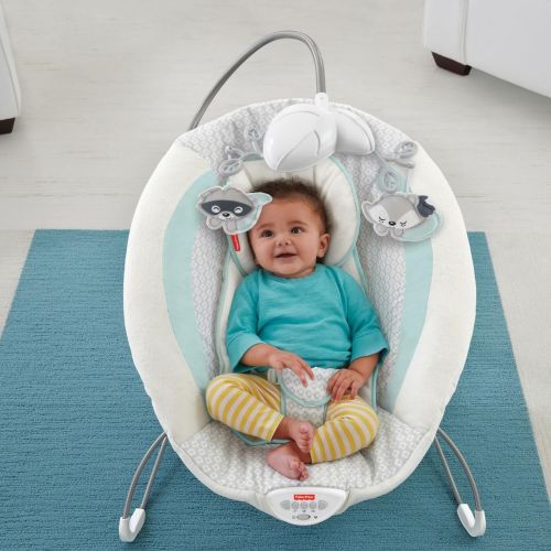 피셔프라이스 Fisher-Price Deluxe Bouncer: Woodsy Wonders