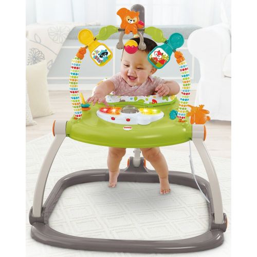 피셔프라이스 Fisher-Price Jumperoo: Woodland Friends SpaceSaver