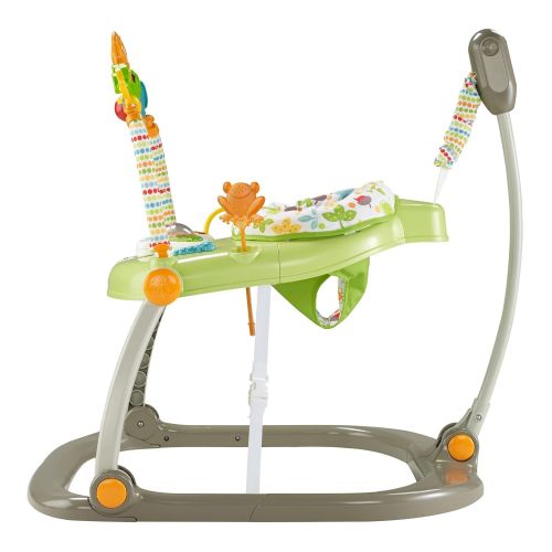 피셔프라이스 Fisher-Price Jumperoo: Woodland Friends SpaceSaver