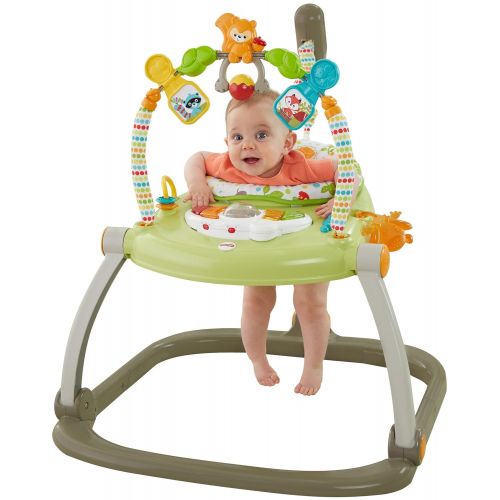 피셔프라이스 Fisher-Price Jumperoo: Woodland Friends SpaceSaver