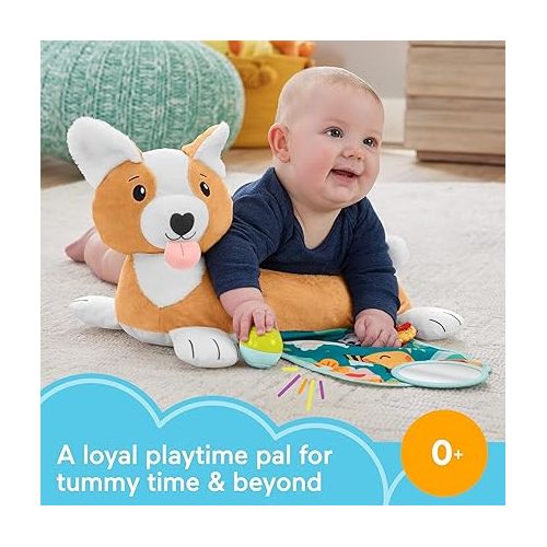 피셔프라이스 Fisher-Price Baby Toys 3-in-1 Puppy Tummy Wedge with BPA-Free Teether Rattle & Mirror for Newborn Sensory Play