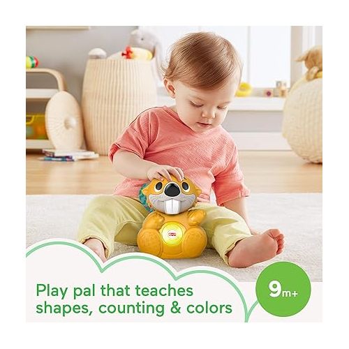 피셔프라이스 Fisher-Price Linkimals Baby & Toddler Learning Toy Boppin’ Beaver with Interactive Lights & Music for Ages 9+ Months