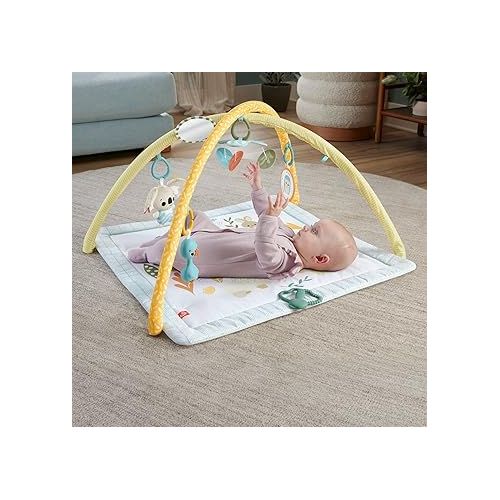 피셔프라이스 Fisher-Price Baby Playmat Simply Senses Newborn Gym with Mobile & Sensory Activity Toys for Developmental Play Ages 0+ Months