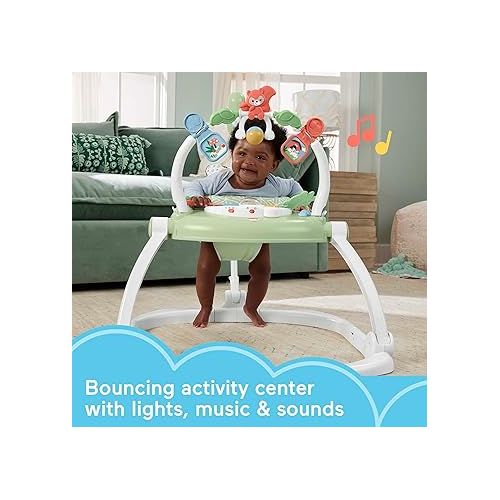 피셔프라이스 Fisher-Price Baby Bouncer SpaceSaver Jumperoo Activity Center with Lights Sounds and Folding Frame, Puppy Perfection