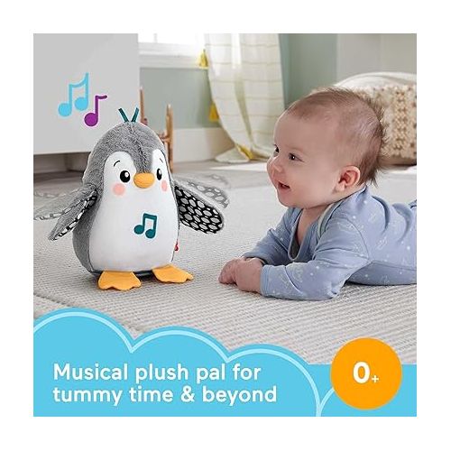 피셔프라이스 Fisher-Price Plush Baby Toy Flap & Wobble Penguin with Music and Motion for Tummy Time to Sit-at Sensory Play
