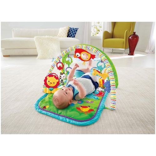 피셔프라이스 Fisher-Price Rainforest Gym and Mobile Gift Set