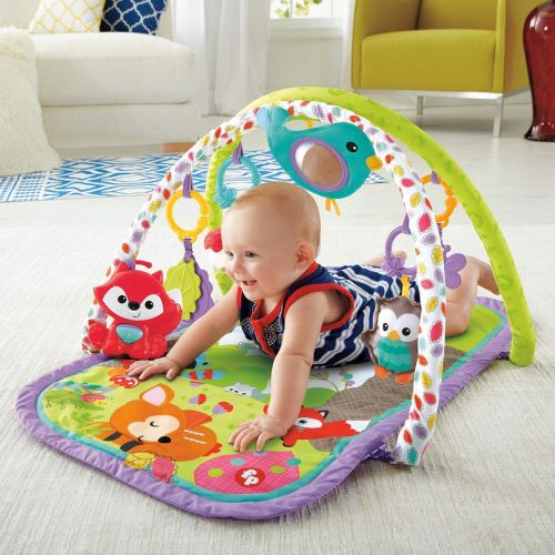 피셔프라이스 Fisher-Price 3-in-1 Musical Activity Gym