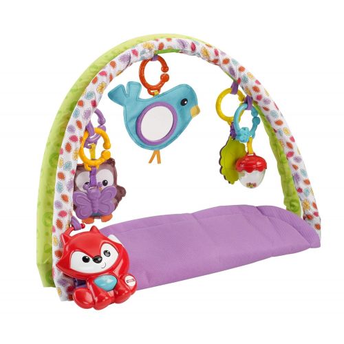 피셔프라이스 Fisher-Price 3-in-1 Musical Activity Gym