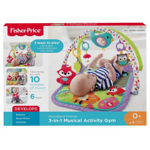 피셔프라이스 Fisher-Price 3-in-1 Musical Activity Gym