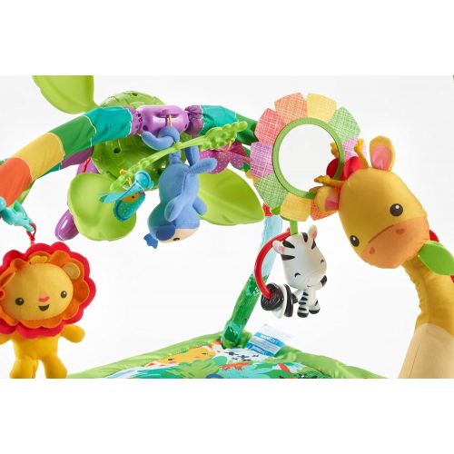 피셔프라이스 Fisher-Price Rainforest Music & Lights Deluxe Gym [Amazon Exclusive]