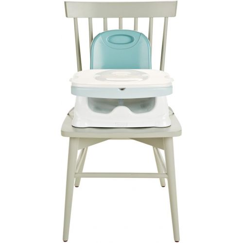 피셔프라이스 [아마존베스트]Fisher-Price Healthy Care Deluxe Booster Seat