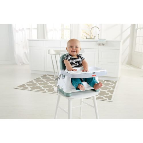 피셔프라이스 [아마존베스트]Fisher-Price Healthy Care Deluxe Booster Seat