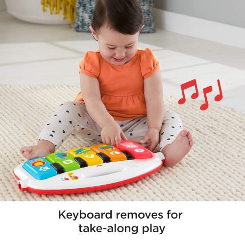 피셔프라이스 [아마존베스트]Fisher-Price Deluxe Kick n Play Piano Gym