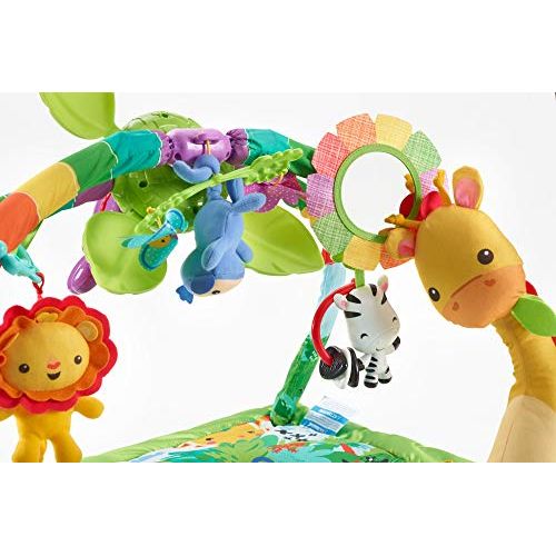 피셔프라이스 [아마존베스트]Fisher-Price Rainforest Music & Lights Deluxe Gym [Amazon Exclusive]