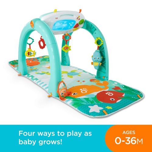 피셔프라이스 [아마존베스트]Fisher-Price 4-in-1 Ocean Activity Center, Blue/Green