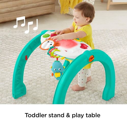 피셔프라이스 [아마존베스트]Fisher-Price 4-in-1 Ocean Activity Center, Blue/Green