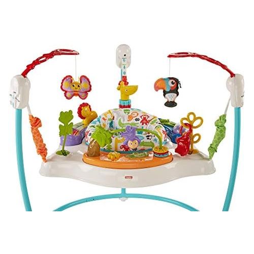 피셔프라이스 [아마존베스트]You purchased this item on August 10, 2018. Fisher-Price Jumperoo: Animal Activity, Blue