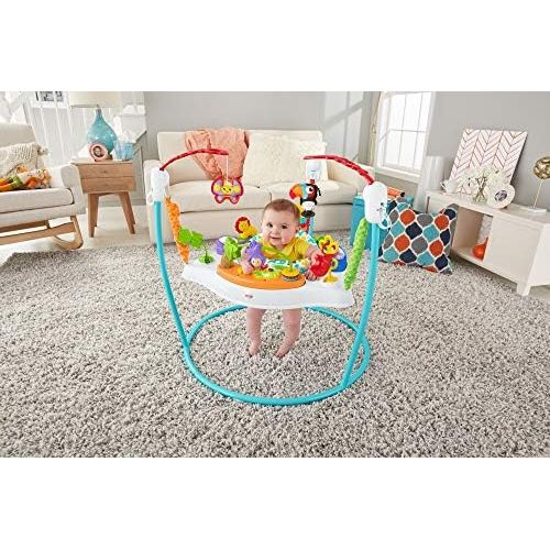 피셔프라이스 [아마존베스트]You purchased this item on August 10, 2018. Fisher-Price Jumperoo: Animal Activity, Blue