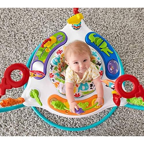 피셔프라이스 [아마존베스트]You purchased this item on August 10, 2018. Fisher-Price Jumperoo: Animal Activity, Blue