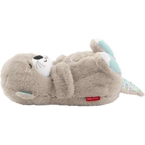 피셔프라이스 [아마존베스트]Fisher-Price Soothe n Snuggle Otter