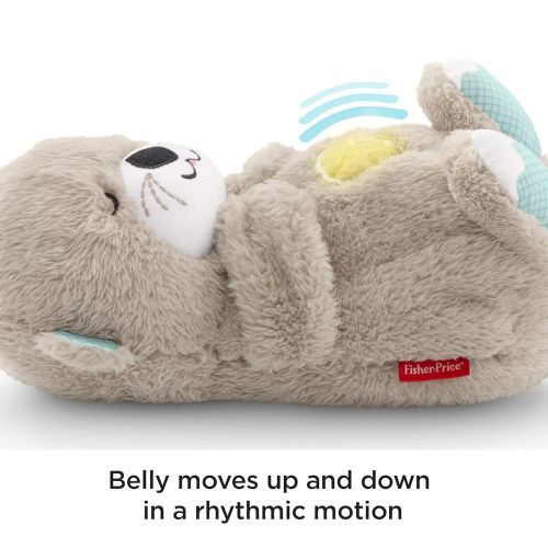 피셔프라이스 [아마존베스트]Fisher-Price Soothe n Snuggle Otter