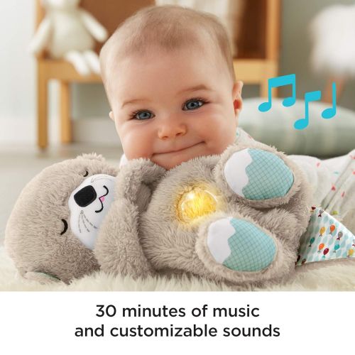 피셔프라이스 [아마존베스트]Fisher-Price Soothe n Snuggle Otter