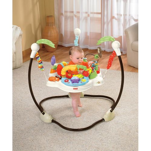 피셔프라이스 [아마존베스트]Fisher-Price Jumperoo: Luv U Zoo