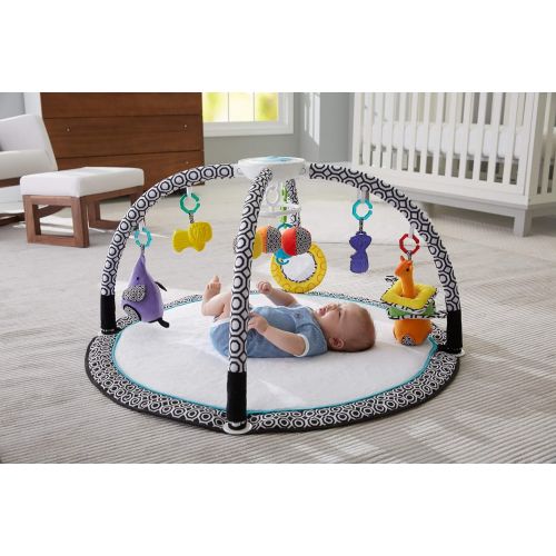 피셔프라이스 [아마존베스트]Fisher-Price Jonathan Adler Sensory Gym, Black/White