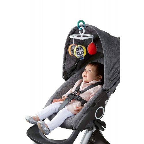 피셔프라이스 [아마존베스트]Fisher-Price Jonathan Adler Sensory Gym, Black/White