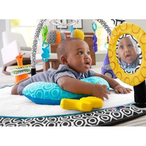 피셔프라이스 [아마존베스트]Fisher-Price Jonathan Adler Sensory Gym, Black/White