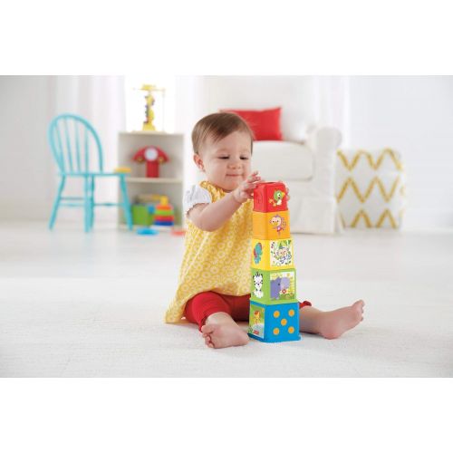 피셔프라이스 [아마존베스트]Fisher-Price Stack and Explore Blocks