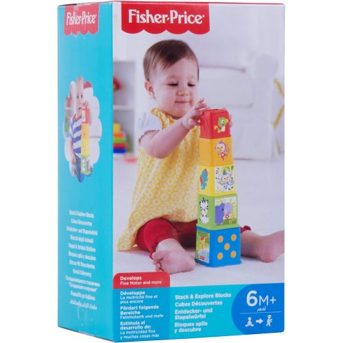 피셔프라이스 [아마존베스트]Fisher-Price Stack and Explore Blocks