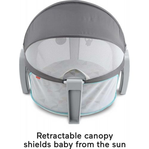  Fisher-Price On-the-Go Baby Dome, Grey/Blue/Yellow/White