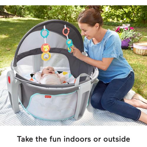  Fisher-Price On-the-Go Baby Dome, Grey/Blue/Yellow/White