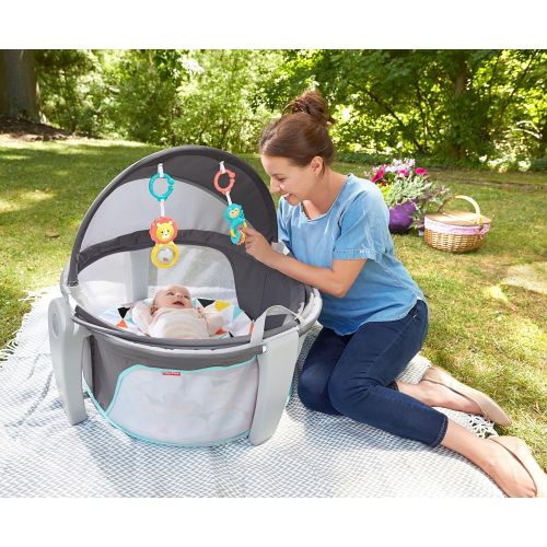  Fisher-Price On-the-Go Baby Dome, Grey/Blue/Yellow/White