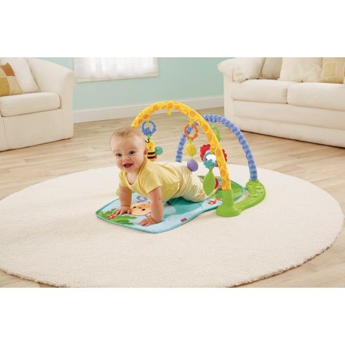  Fisher-Price Link n Play Musical Gym