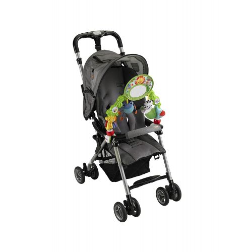  Fisher-Price Deluxe Stroller Activity Center